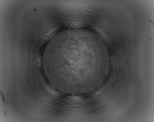 X0000093120741200709261327