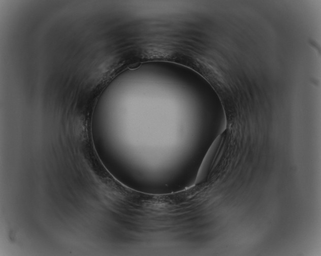 X0000093120743200709261327