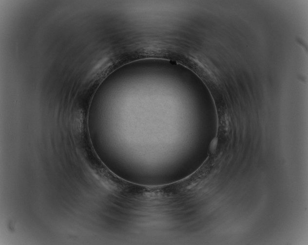 X0000093120744200709261327
