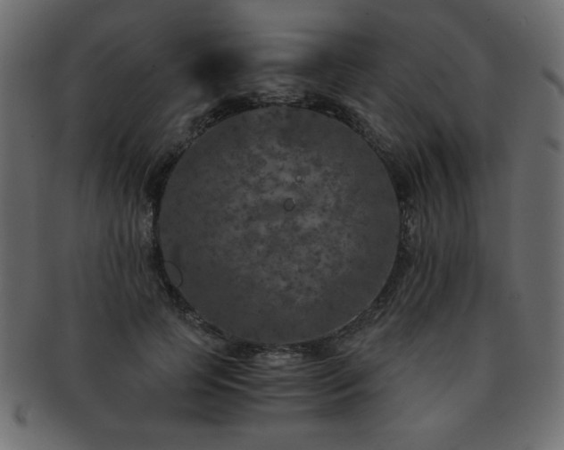 X0000093120745200709261327