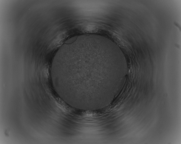 X0000093120746200709261327