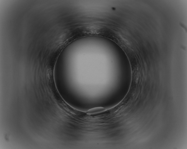 X0000093120747200709261327