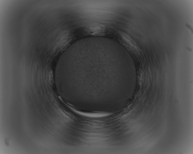 X0000093120748200709261327