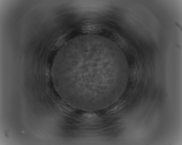 X0000093120749200709261327