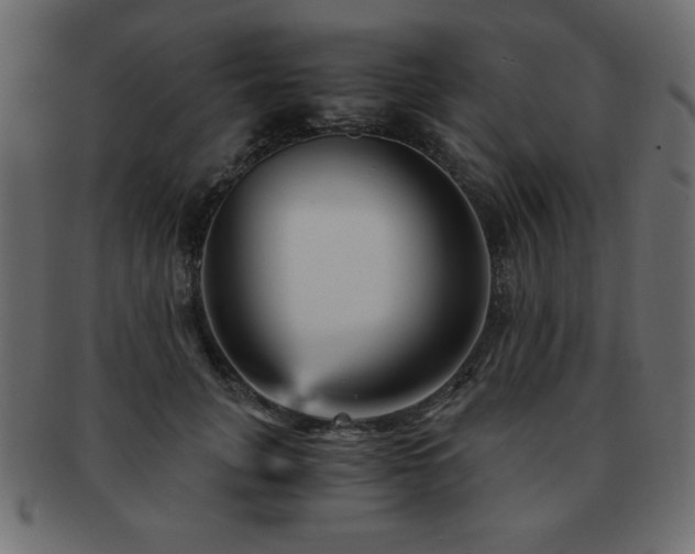 X0000093120751200709261327