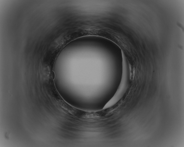 X0000093120752200709261327