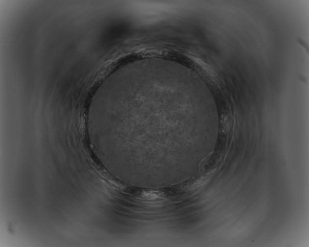 X0000093120753200709261327