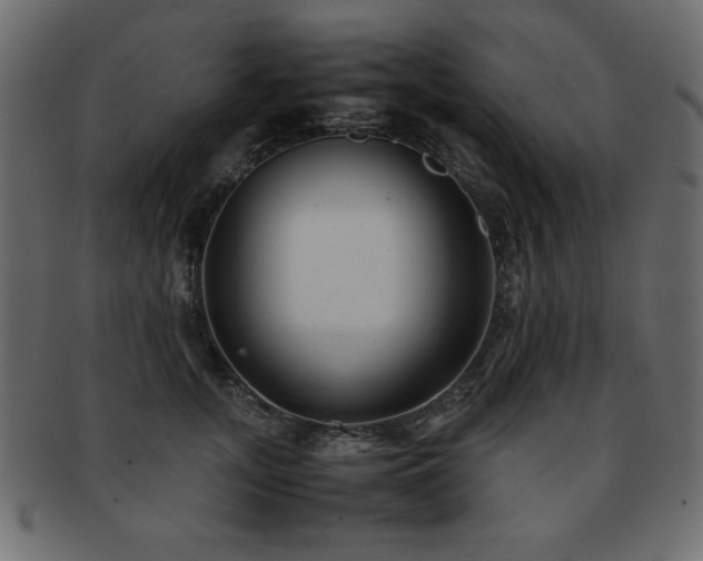 X0000093120755200709261327