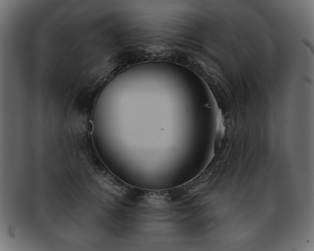 X0000093120756200709261328