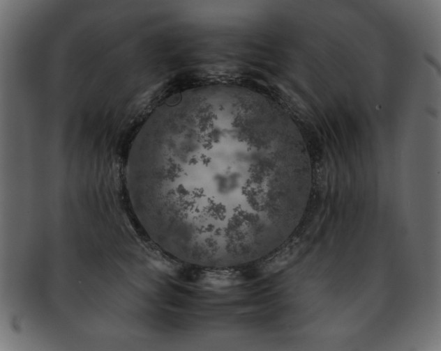 X0000093120757200709261328