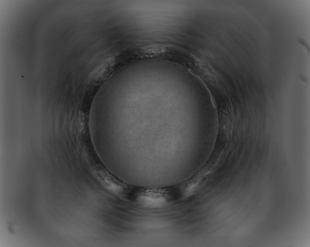 X0000093120758200709261328