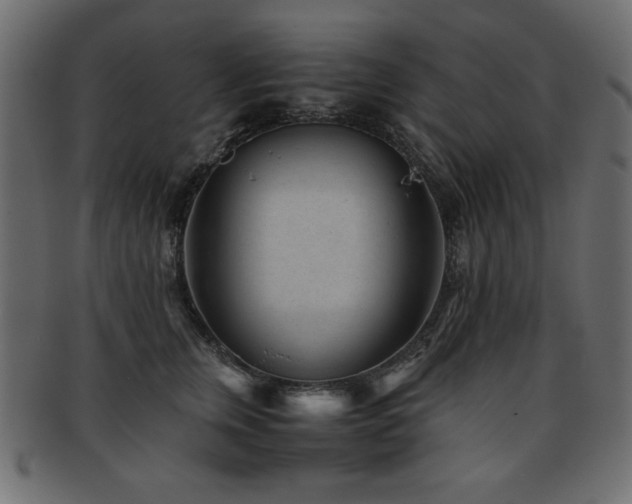 X0000093120759200709261328