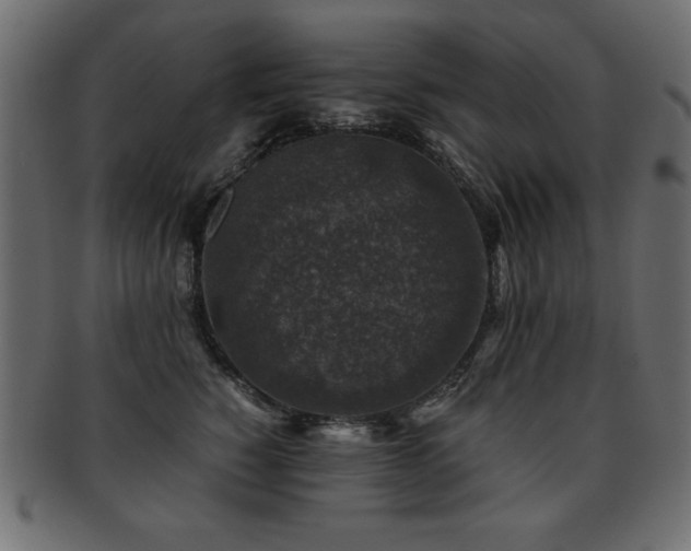 X0000093120760200709261328