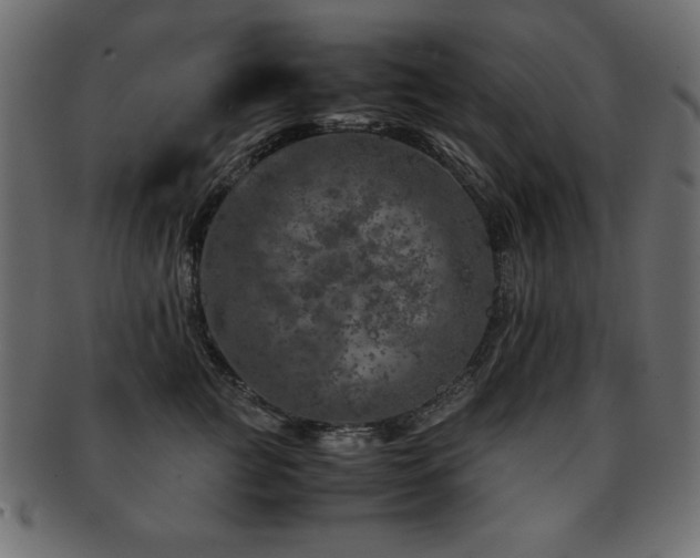 X0000093120761200709261328