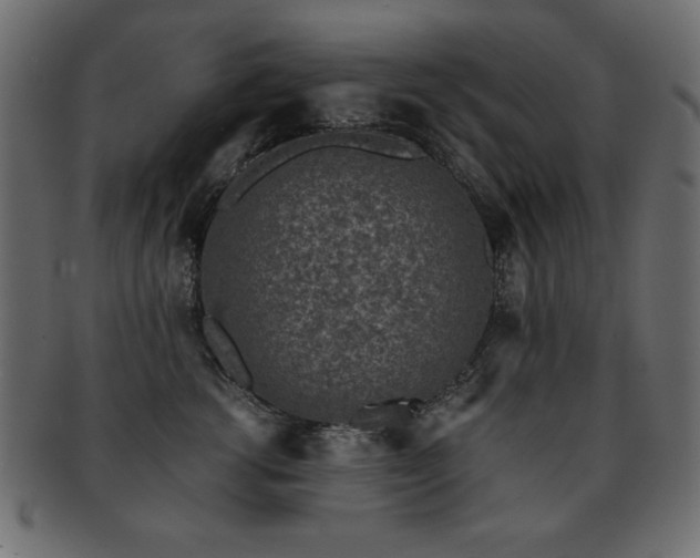 X0000093120762200709261328