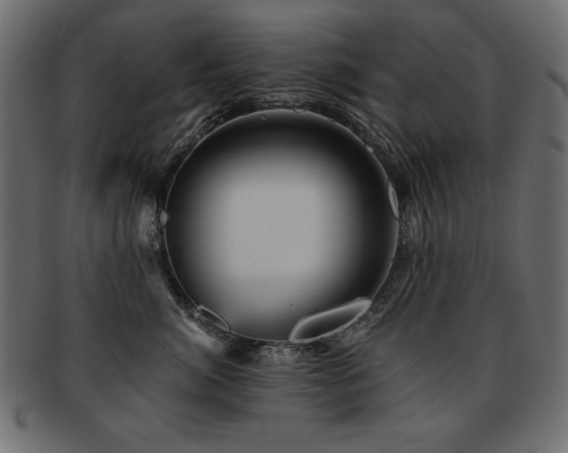 X0000093120764200709261328