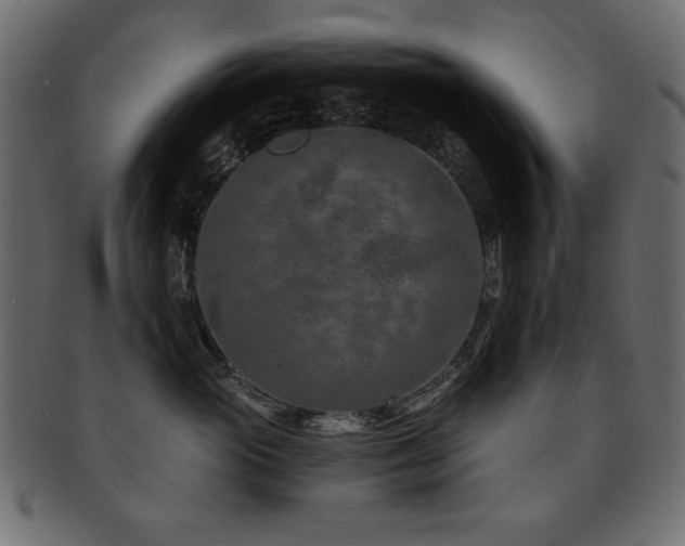 X0000093120765200709261328
