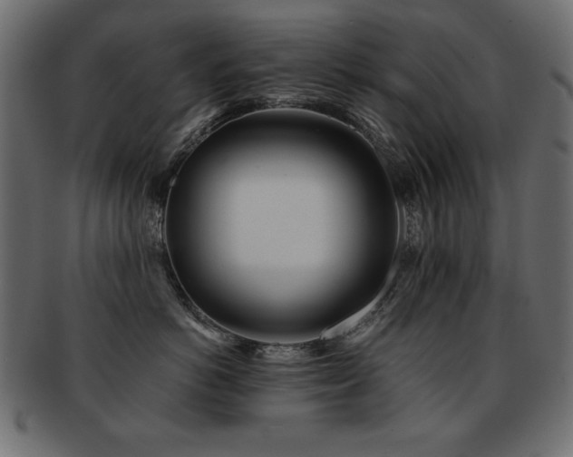 X0000093120766200709261328
