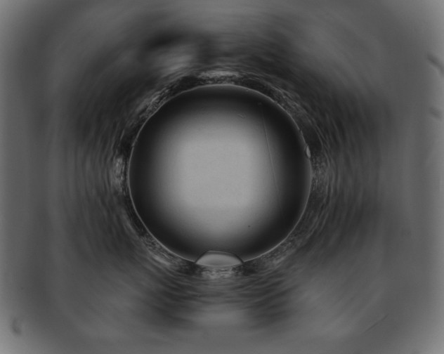 X0000093120767200709261328