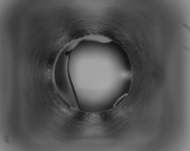 X0000093120768200709261328