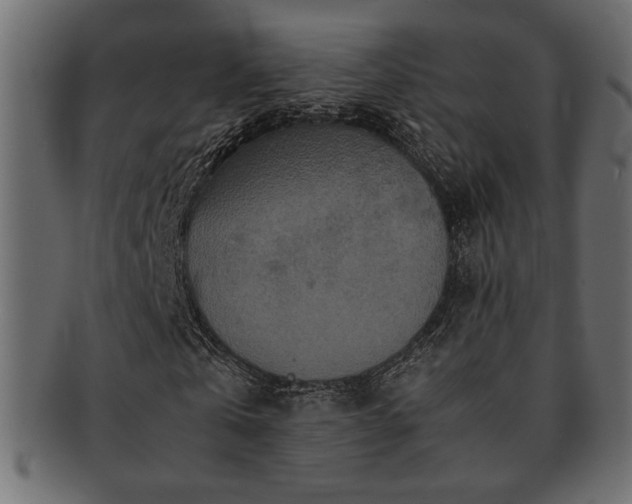 X0000093120769200709261327