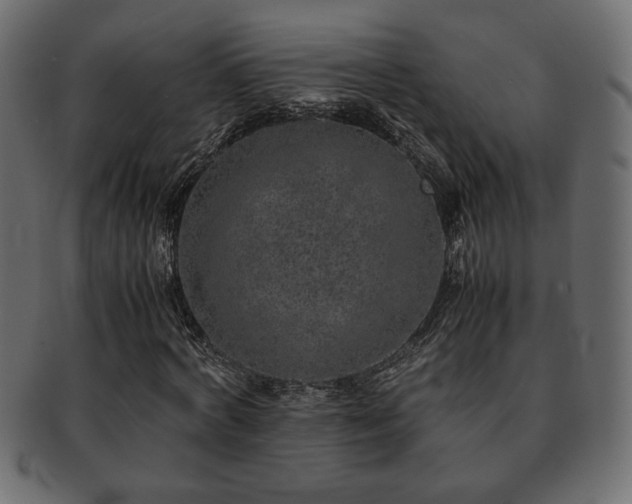 X0000093120772200709261327