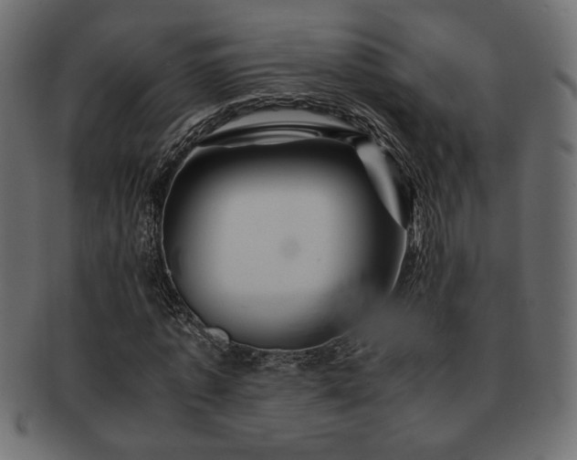 X0000093120773200709261327