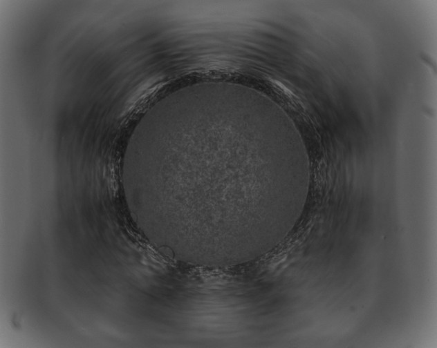 X0000093120774200709261327