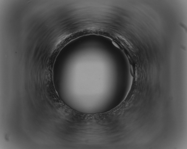 X0000093120776200709261327