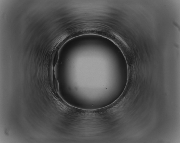 X0000093120777200709261327