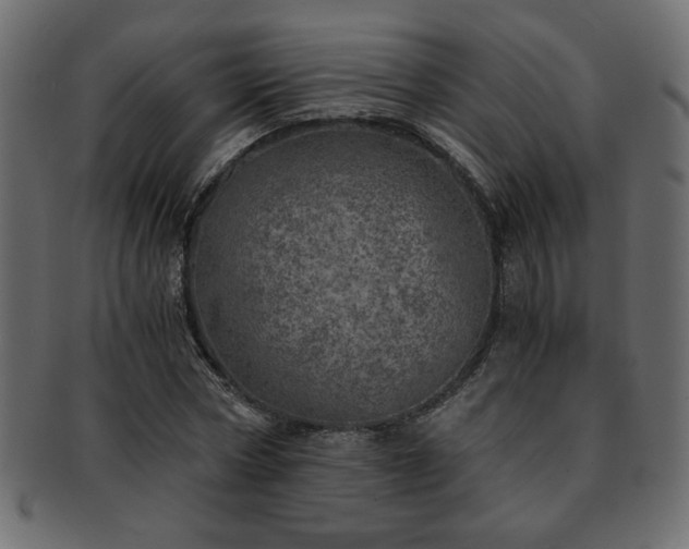 X0000093120778200709261327