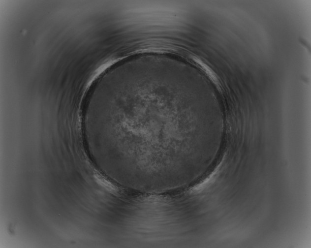 X0000093120779200709261327