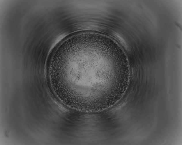 X0000093120780200709261327