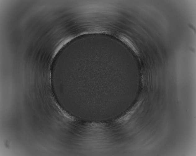 X0000093120781200709261327