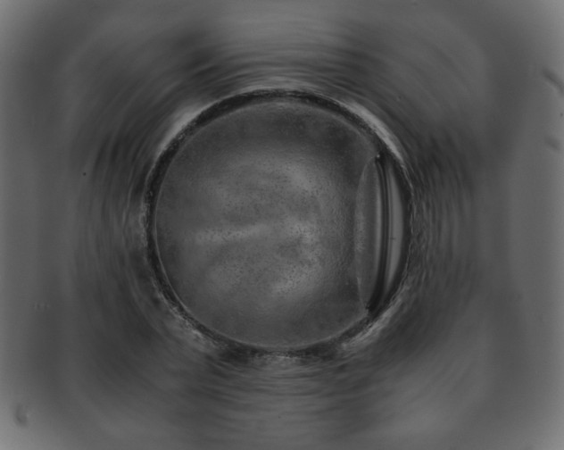 X0000093120783200709261327