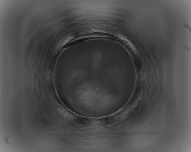 X0000093120785200709261327