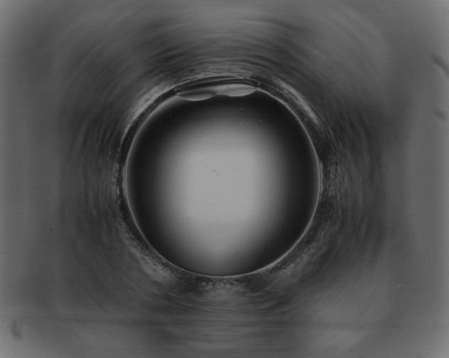 X0000093120786200709261327