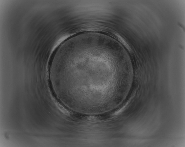X0000093120787200709261327
