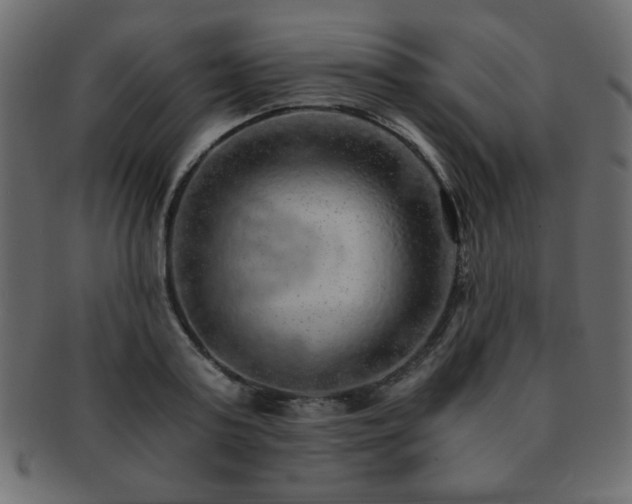 X0000093120795200709261327