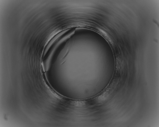 X0000093120802200709261327