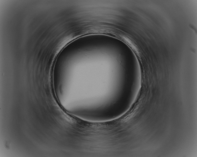 X0000093120803200709261327