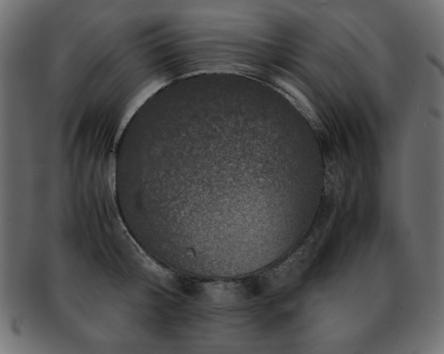 X0000093120804200709261326