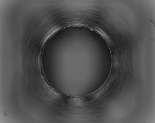 X0000093120806200709261326