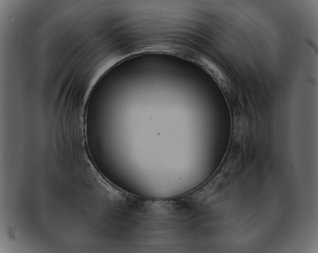 X0000093120808200709261326