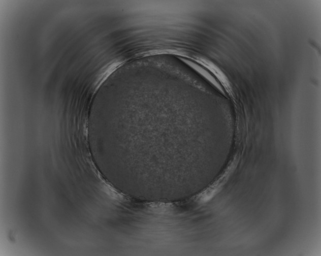 X0000093120809200709261326