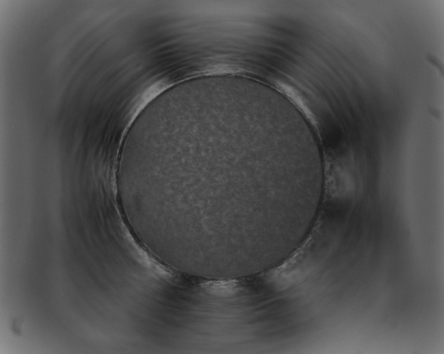 X0000093120810200709261326