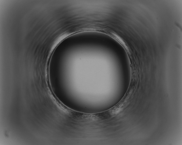 X0000093120811200709261326