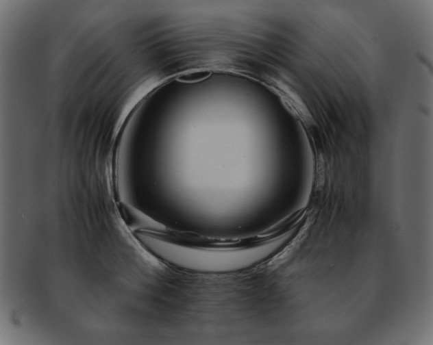 X0000093120812200709261326