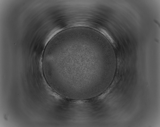 X0000093120814200709261326