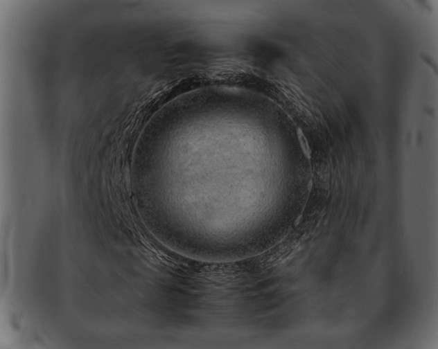X0000093120817200709261326